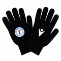 Ethnikos Assias FC gloves black pair